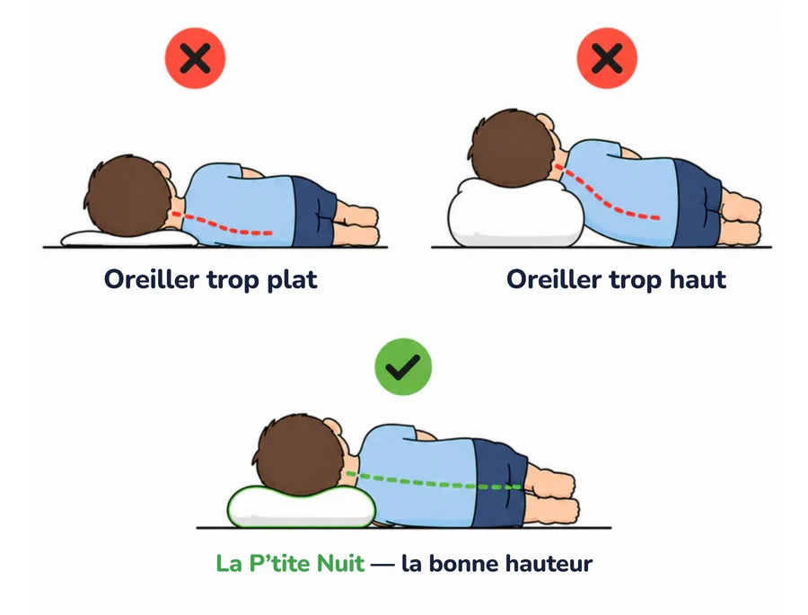 Comparatif : oreiller trop plat, trop haut, ou la bonne hauteur La P’tite Nuit